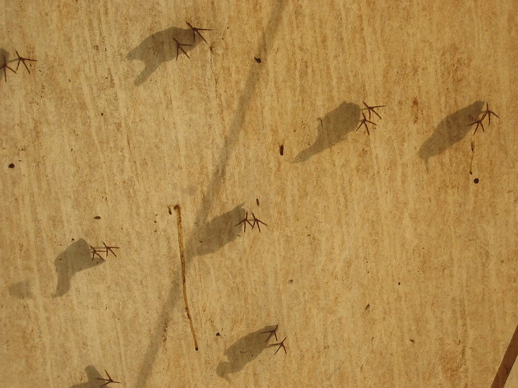 068 Port Douglas Wildlife Habitat.jpg